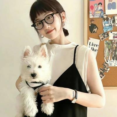 爱乱伴侣